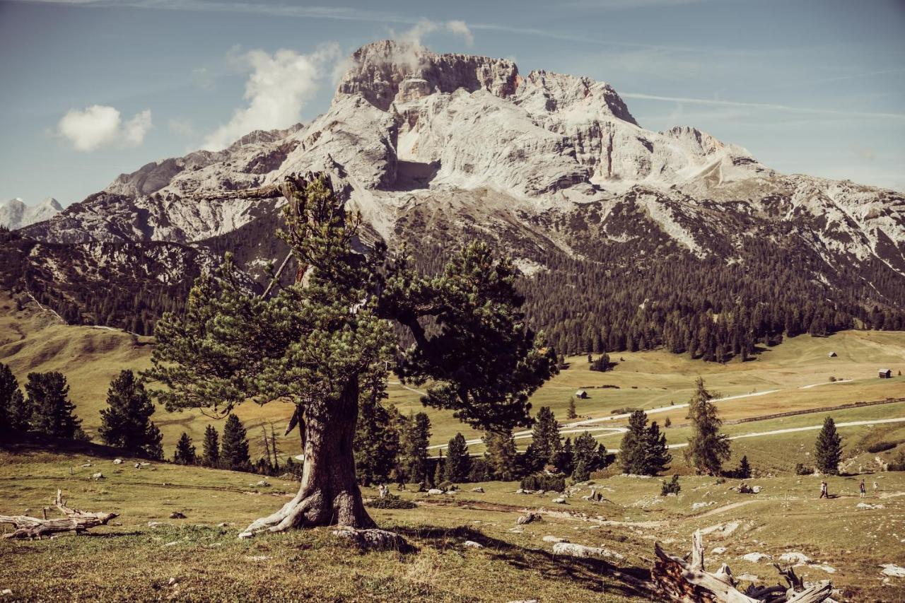 Garni Bergblick Hotel Braies  Kültér fotó